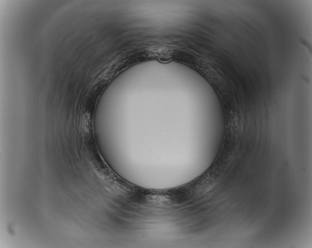 X0000099320649200805161402