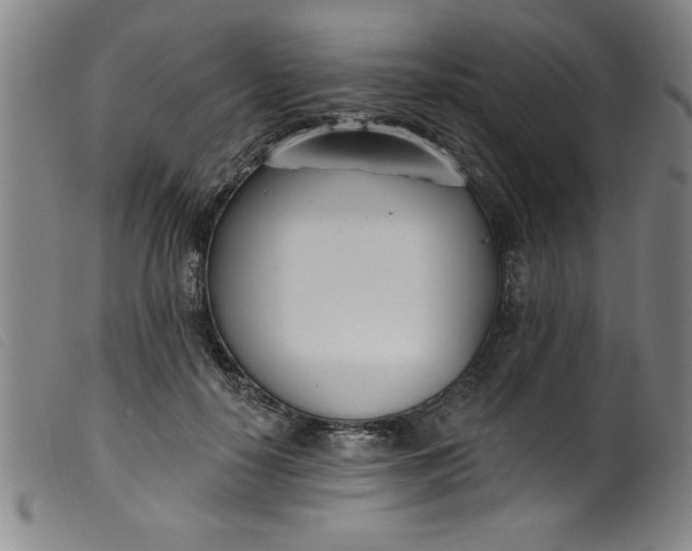 X0000099320650200805161402