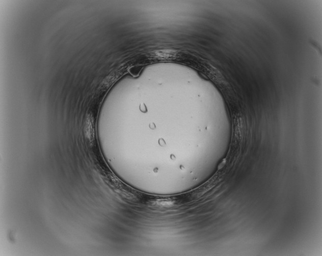 X0000099320651200805161402