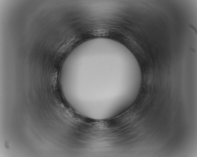 X0000099320652200805161402