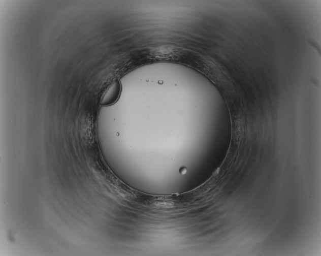 X0000099320653200805161402