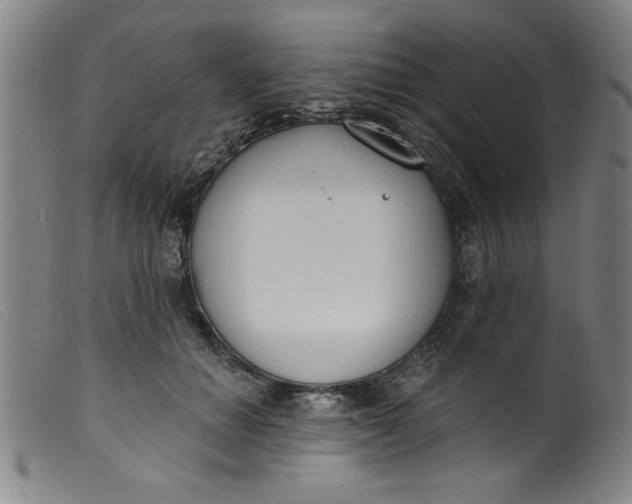 X0000099320654200805161402