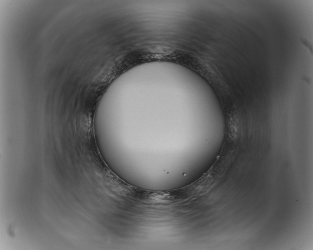 X0000099320657200805161402