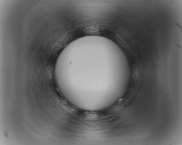 X0000099320658200805161402