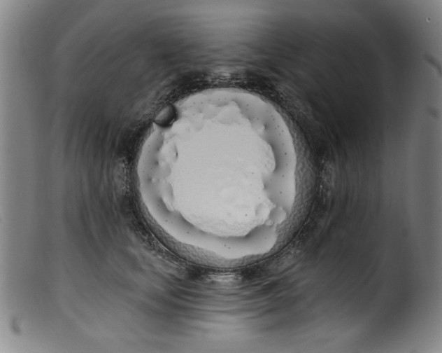 X0000099320659200805161402