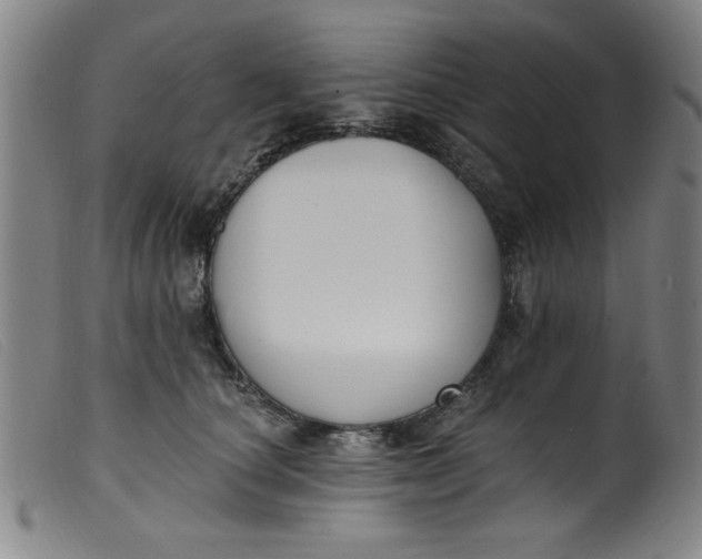 X0000099320660200805161402