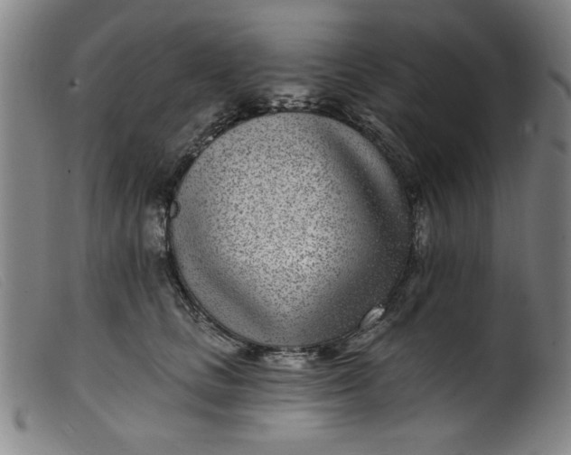 X0000099320661200805161402