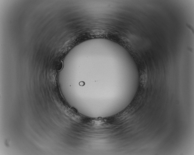 X0000099320662200805161402