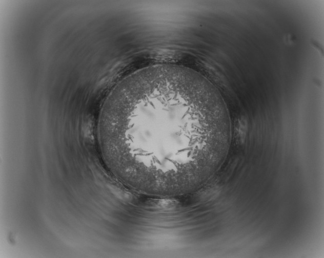 X0000099320663200805161402