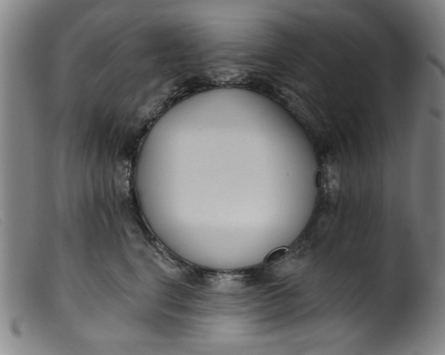 X0000099320664200805161402