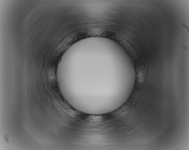 X0000099320665200805161402