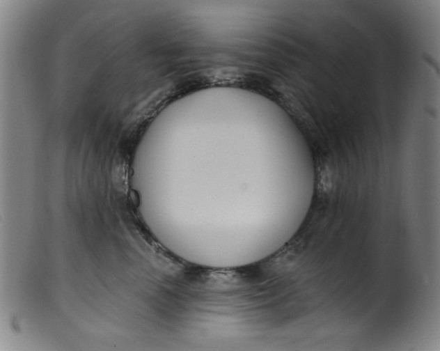 X0000099320666200805161402