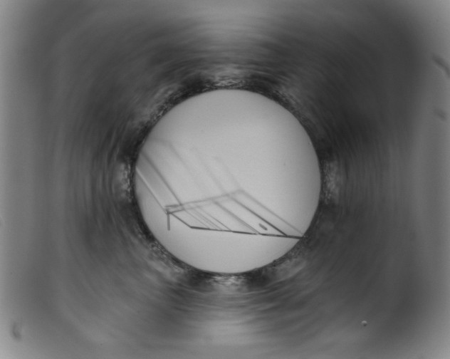 X0000099320667200805161402