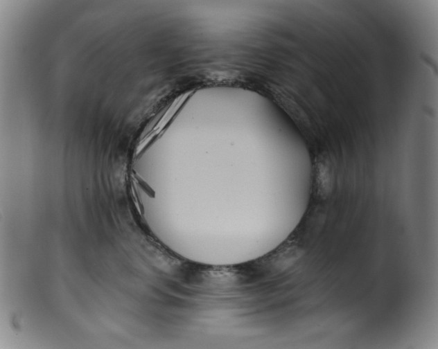 X0000099320668200805161402