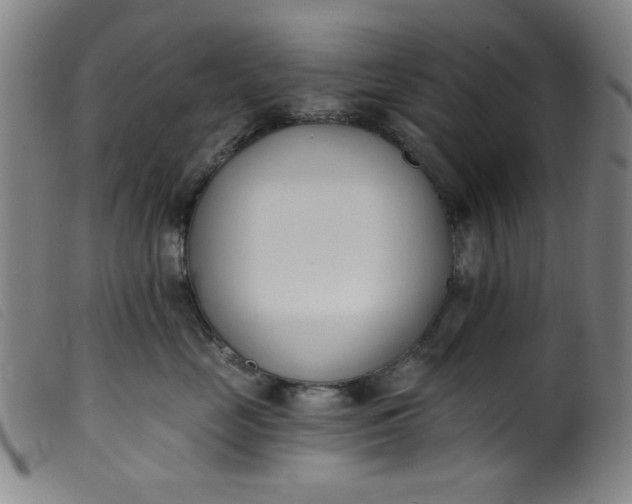 X0000099320669200805161402