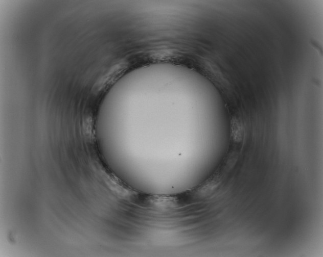 X0000099320670200805161402