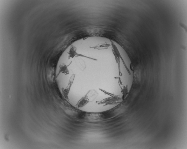 X0000099320671200805161402