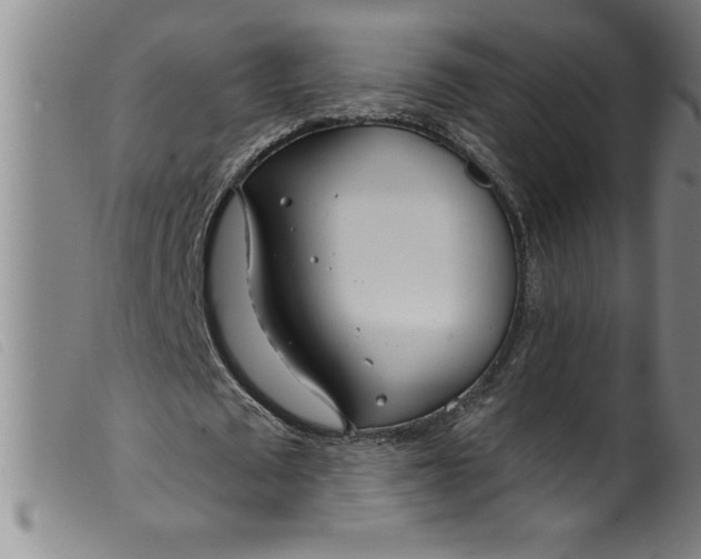 X0000099320673200805161401