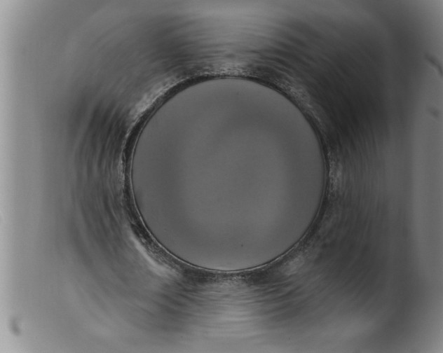 X0000099320674200805161401