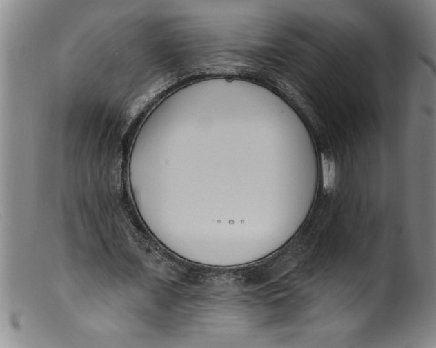 X0000099320675200805161401