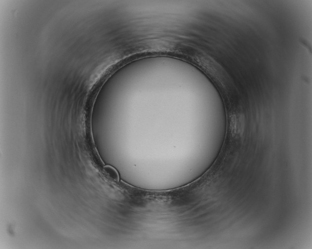 X0000099320676200805161401