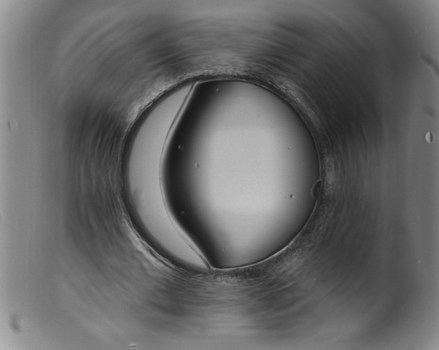 X0000099320677200805161401