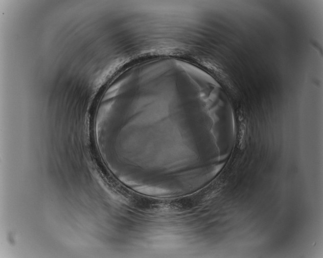 X0000099320678200805161401