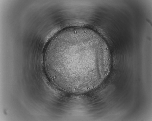 X0000099320679200805161401