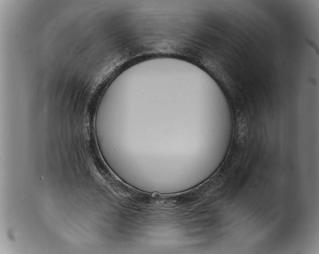 X0000099320680200805161401