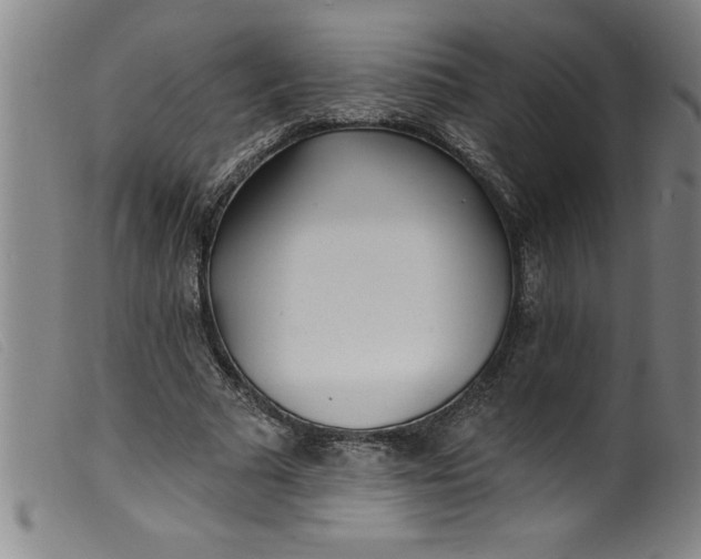 X0000099320681200805161401