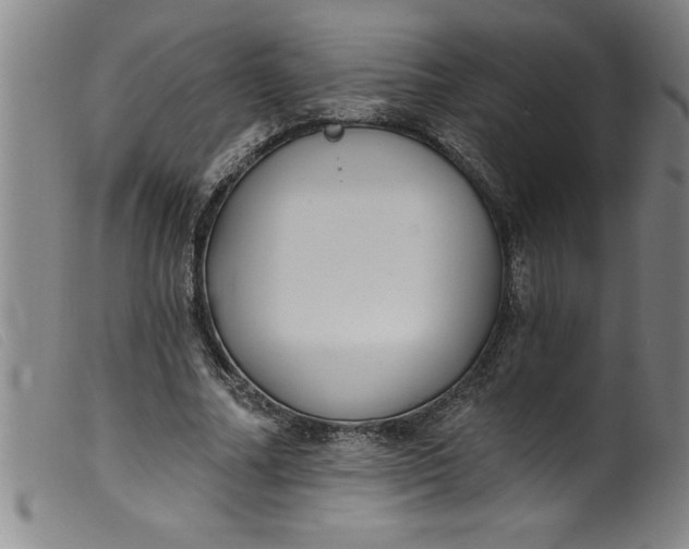 X0000099320682200805161401