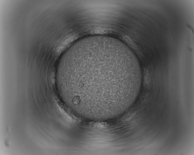 X0000099320683200805161401