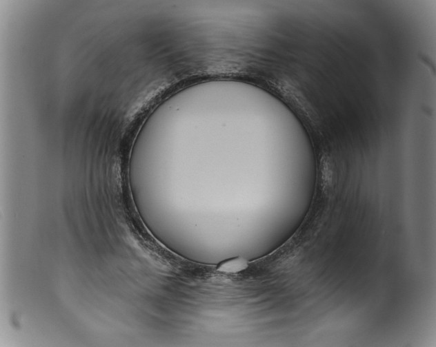 X0000099320684200805161401