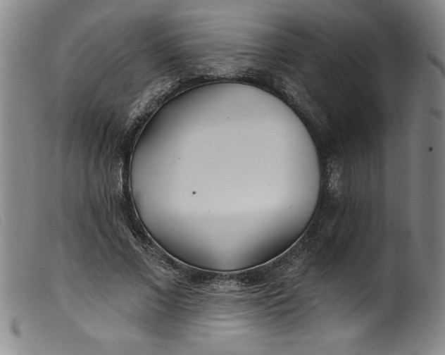 X0000099320685200805161401