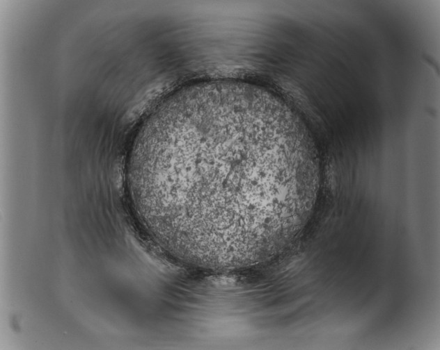 X0000099320687200805161401