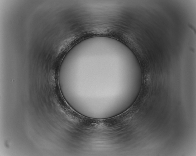 X0000099320688200805161401