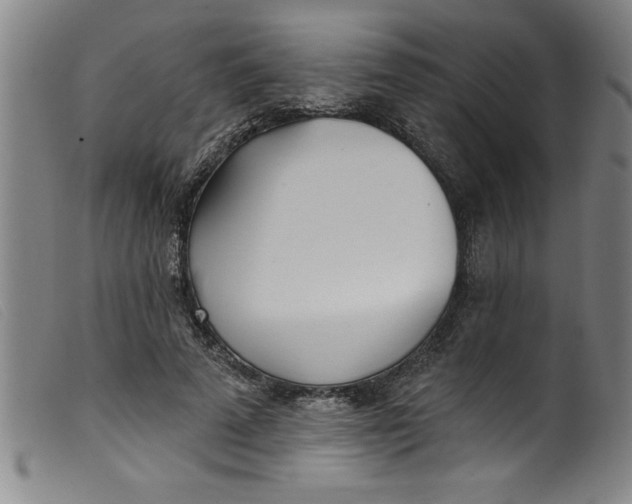 X0000099320689200805161401