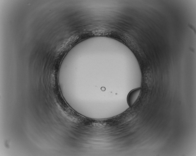 X0000099320690200805161401