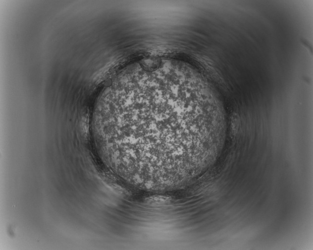 X0000099320691200805161401