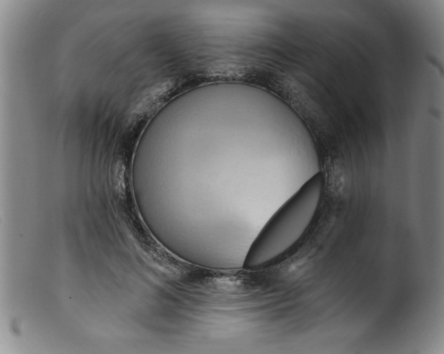 X0000099320692200805161401