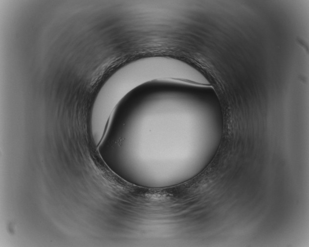 X0000099320693200805161401