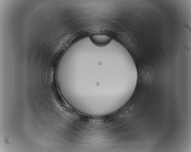 X0000099320694200805161401