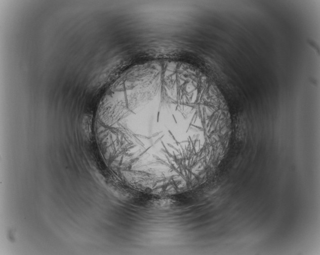 X0000099320695200805161401