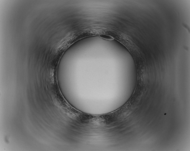 X0000099320696200805161401