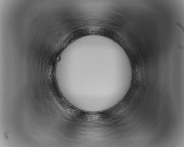 X0000099320698200805161401