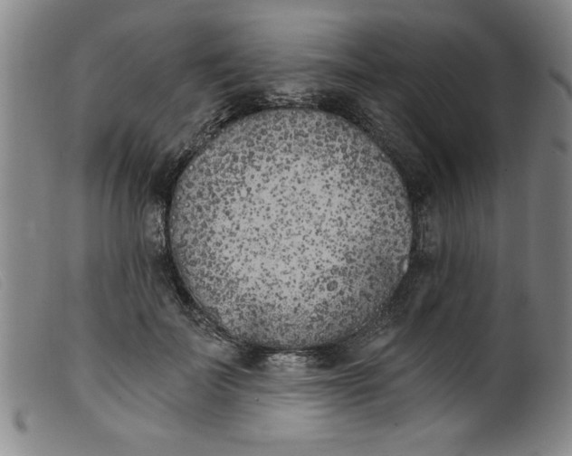 X0000099320699200805161401