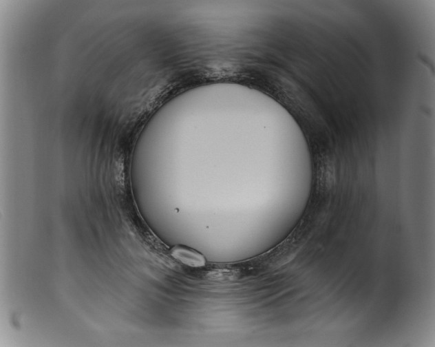 X0000099320700200805161401