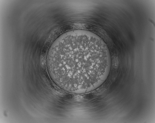 X0000099320701200805161401