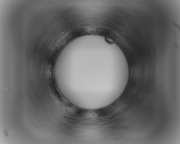 X0000099320702200805161401