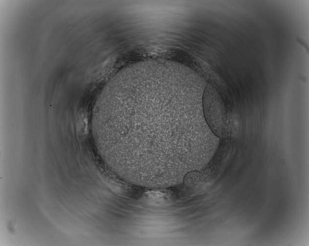 X0000099320703200805161401